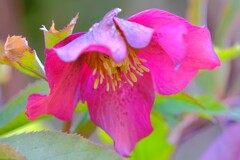 散歩の途中で。⑥