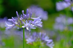 散歩の途中で➁。