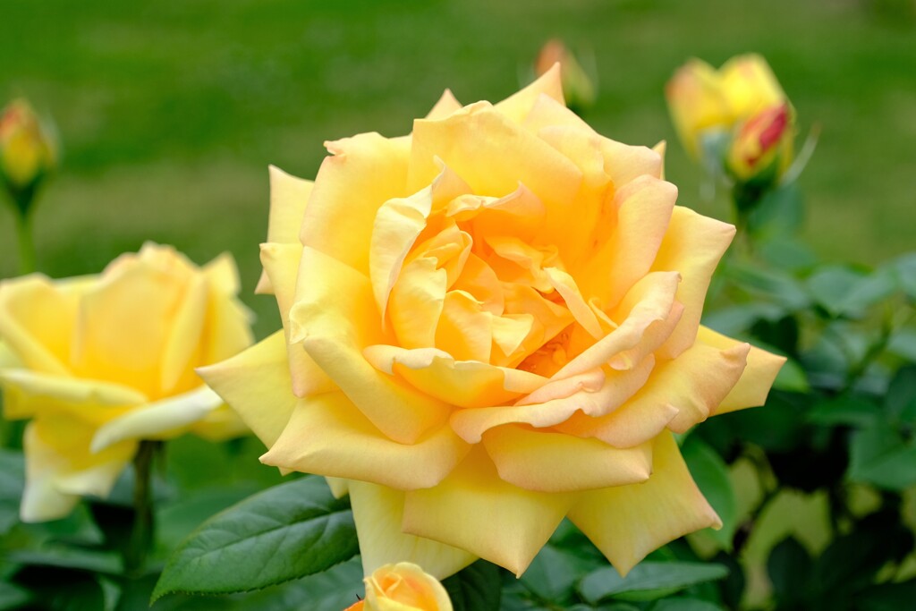 散歩の途中で。①