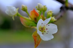 散歩の途中で。9