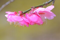 散歩の途中で。５