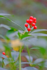 散歩の途中で。遠出 1