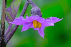 散歩の途中で。