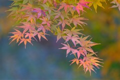 散歩の途中で、２