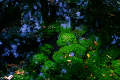 散歩の途中で。５