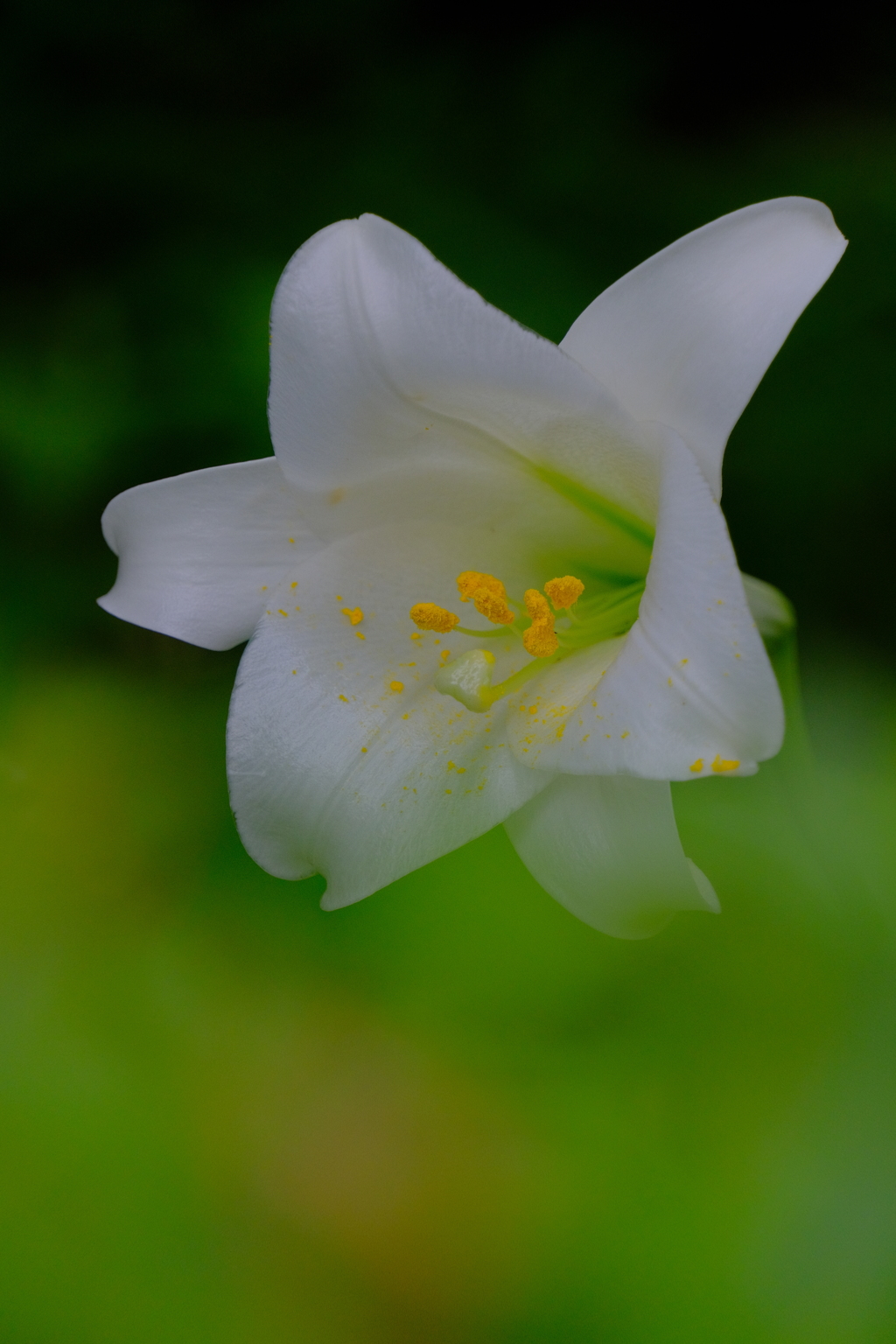 散歩の途中で。Ⅴ