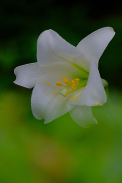 散歩の途中で。Ⅴ