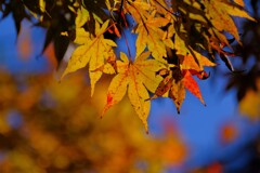 散歩の途中で、①