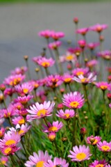 散歩の途中で。Ⅳ