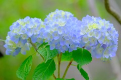 (9)散歩の途中で。10