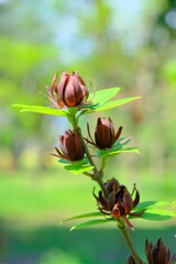 散歩の途中で。５