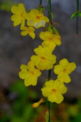 散歩の途中で。Ⅶ