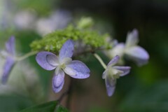 散歩の途中で。Ⅰ