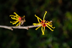 散歩の途中で。４