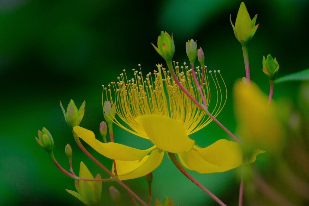 散歩の途中で。Ⅱ