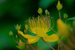 散歩の途中で。Ⅱ