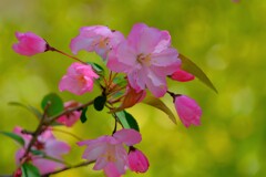 散歩の途中で。Ⅳ