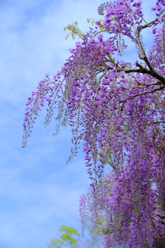 散歩の途中で。3