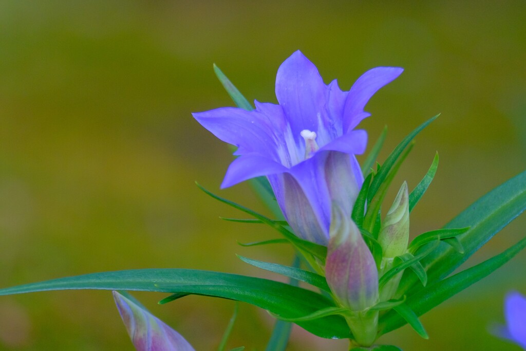 散歩の途中で。１