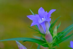 散歩の途中で。１