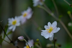 散歩の途中で。Ⅱ