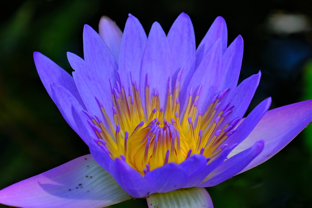 散歩の途中で。②