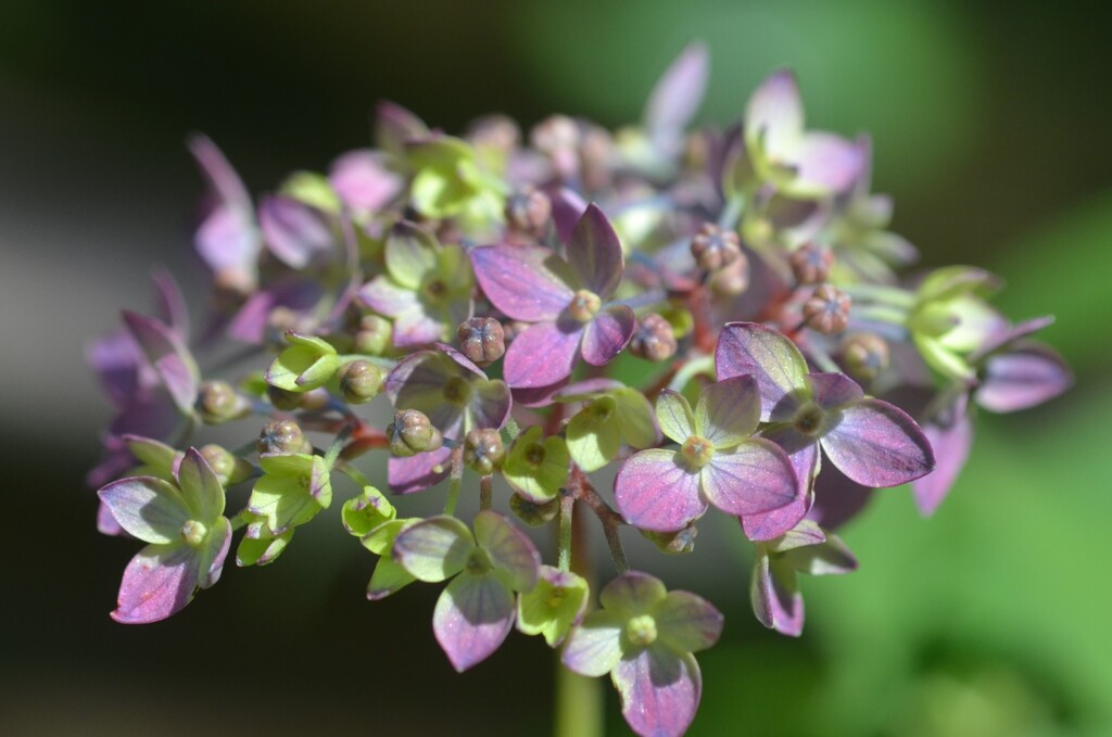  (2)散歩の途中で。-17