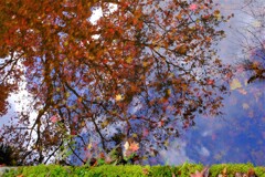 散歩の途中で　遠出③