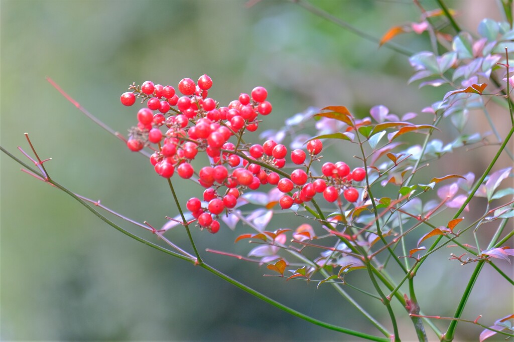 散歩の途中で。Ⅴ