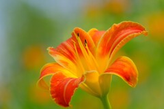 散歩の途中で。