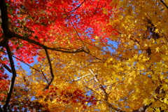 散歩の途中で。Ⅱ