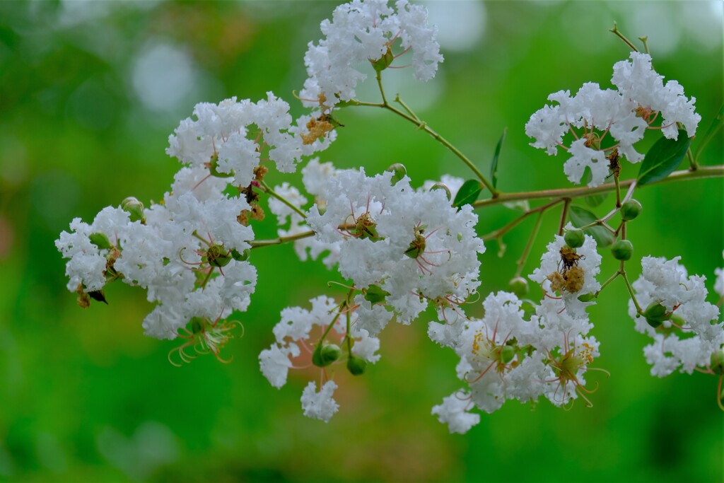 散歩の途中で。Ⅶ
