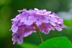 散歩の途中で。⑦