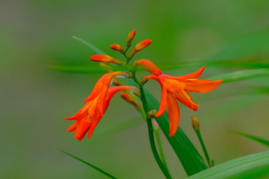 散歩の途中で。