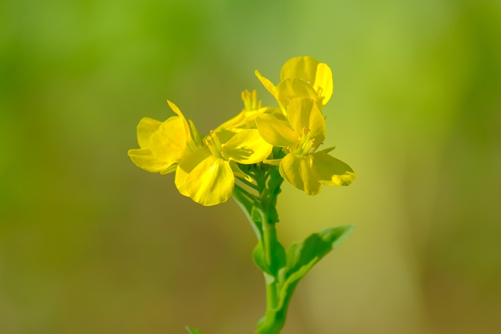 散歩の途中で。Ⅰ