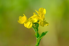 散歩の途中で。Ⅰ