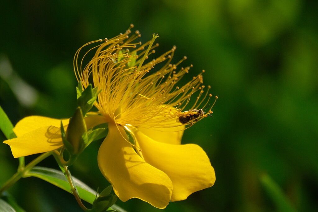 散歩の途中で。