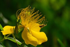 散歩の途中で。