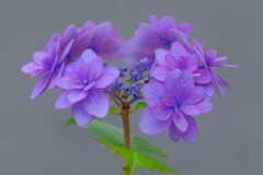 散歩の途中で。（３）