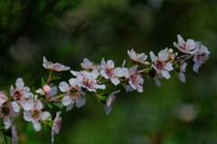 散歩の途中で。（３）