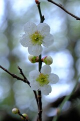 散歩の途中で。１