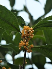 散歩の途中で。3