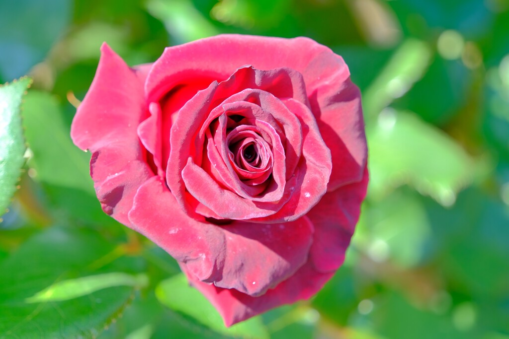 散歩の途中で。Ⅱ