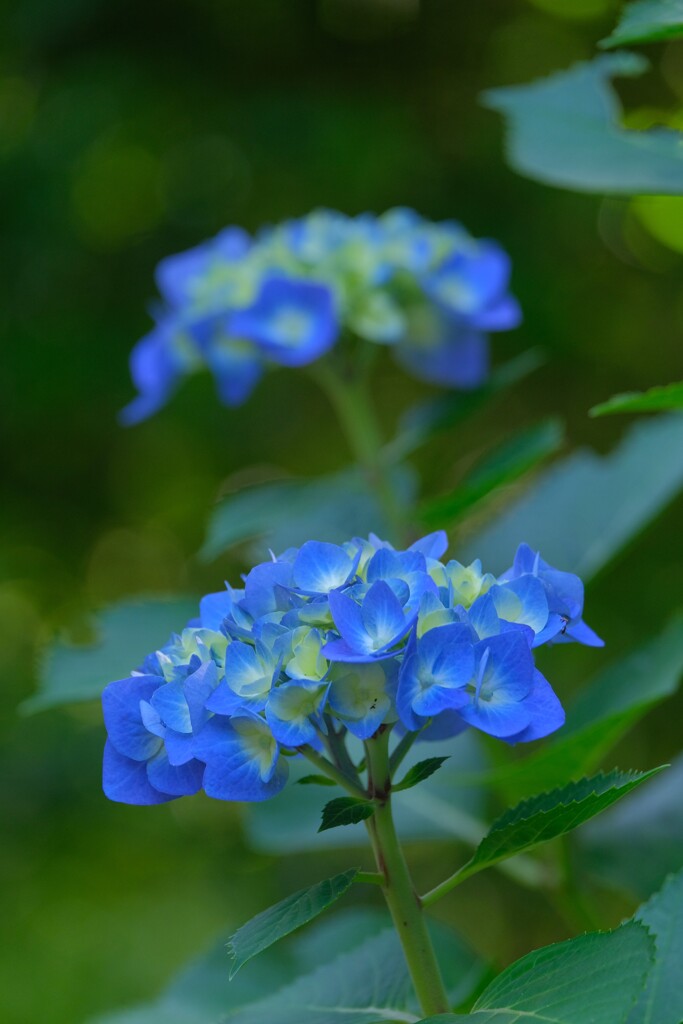 散歩の途中で。