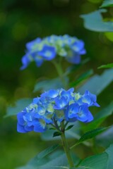 散歩の途中で。