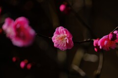 散歩の途中で。８