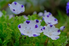 散歩の途中で。4