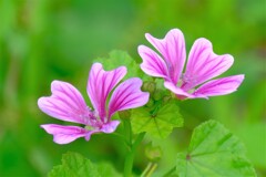 散歩の途中で。３