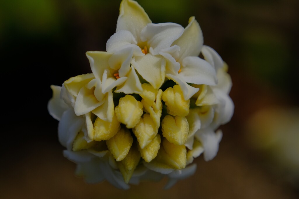 散歩の途中で。9