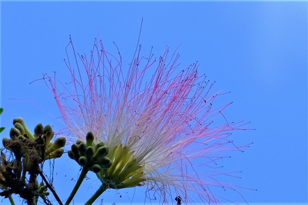 散歩の途中で。Ⅳ